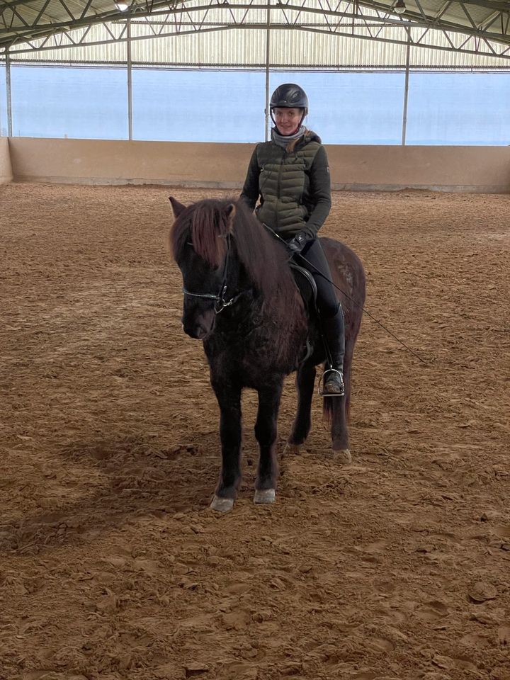 Gestüt Erlenhof Verkauf