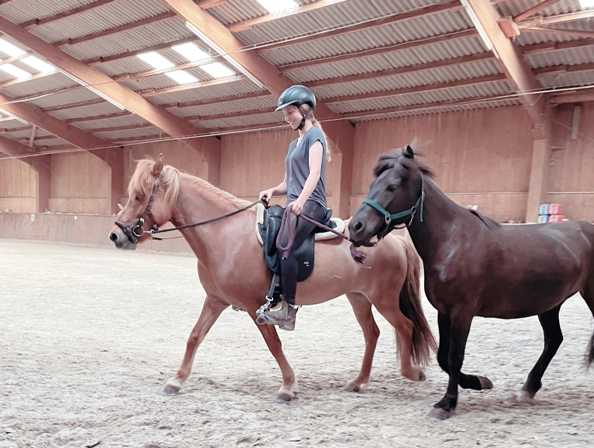 Gestüt Erlenhof Die Anlage